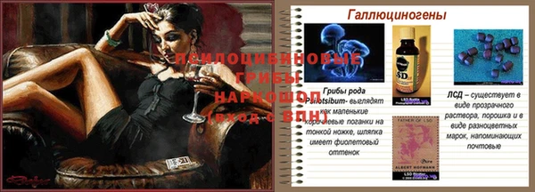 эйфоретик Лихославль