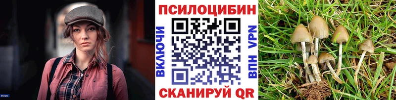 Псилоцибиновые грибы Psilocybe  даркнет сайт  Туран 